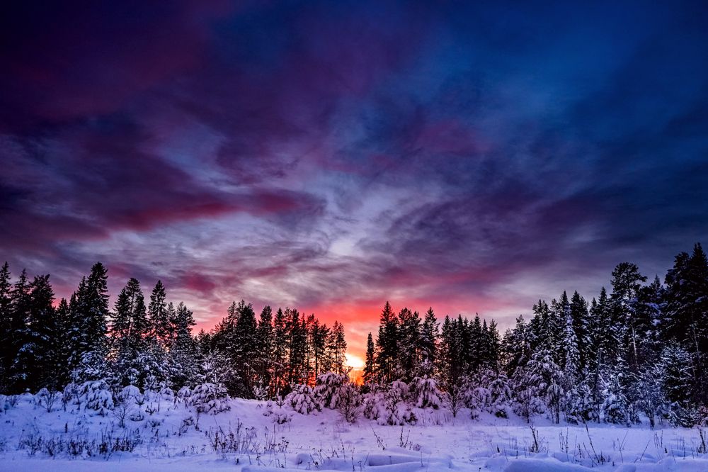 Photograph by Екатерина Корчик