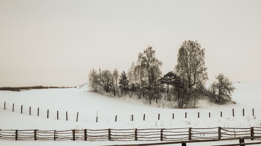 Photograph by Людмила Казак