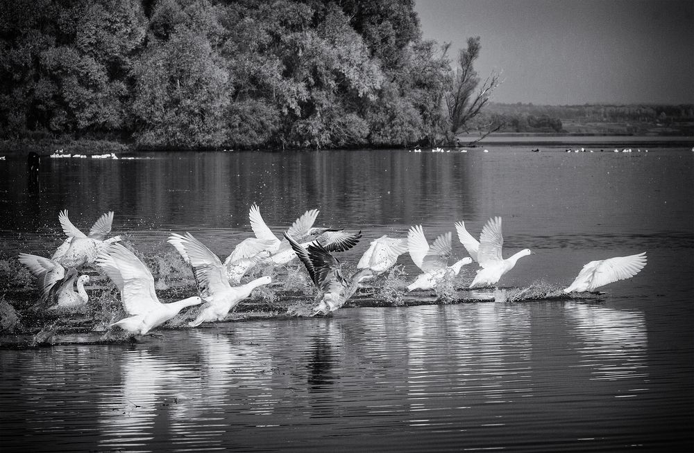 Photograph by Тамара Андреева