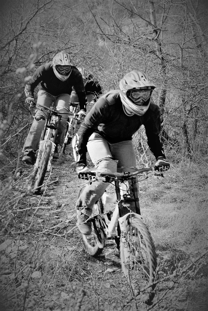 Photo #8685846