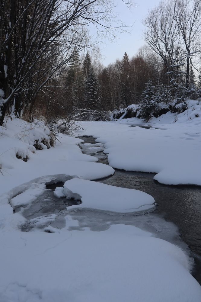 Photograph by Марина Тимонова