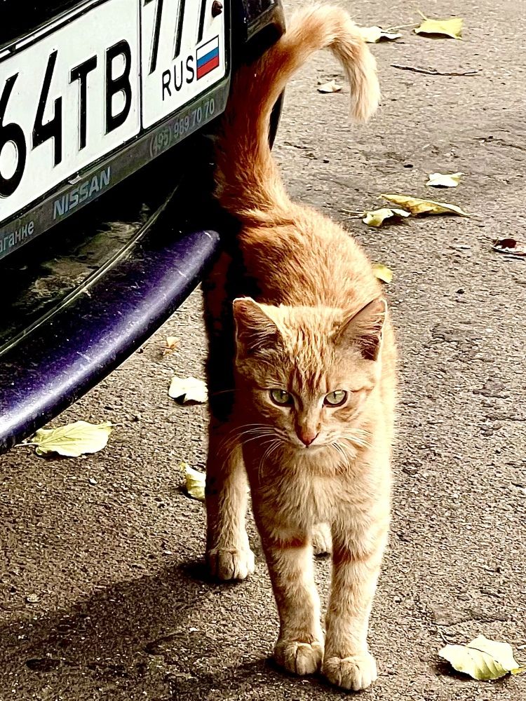 Photograph by Евгения Казакова