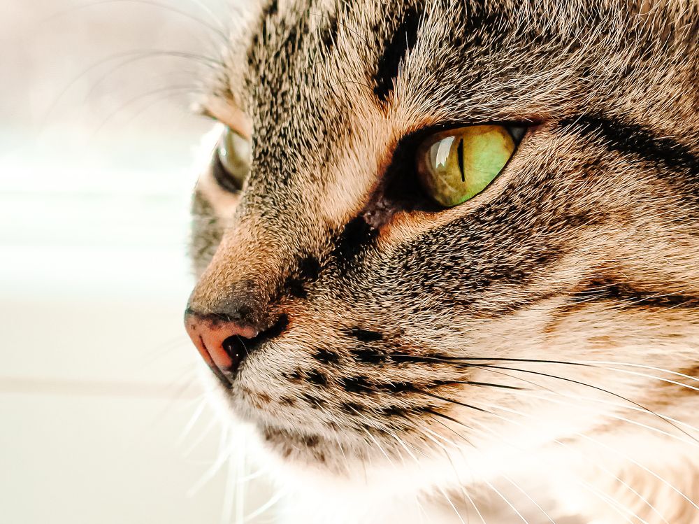 Photograph by Wrapper