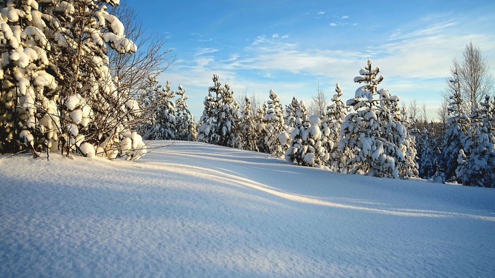 Photograph by Александр Клюев