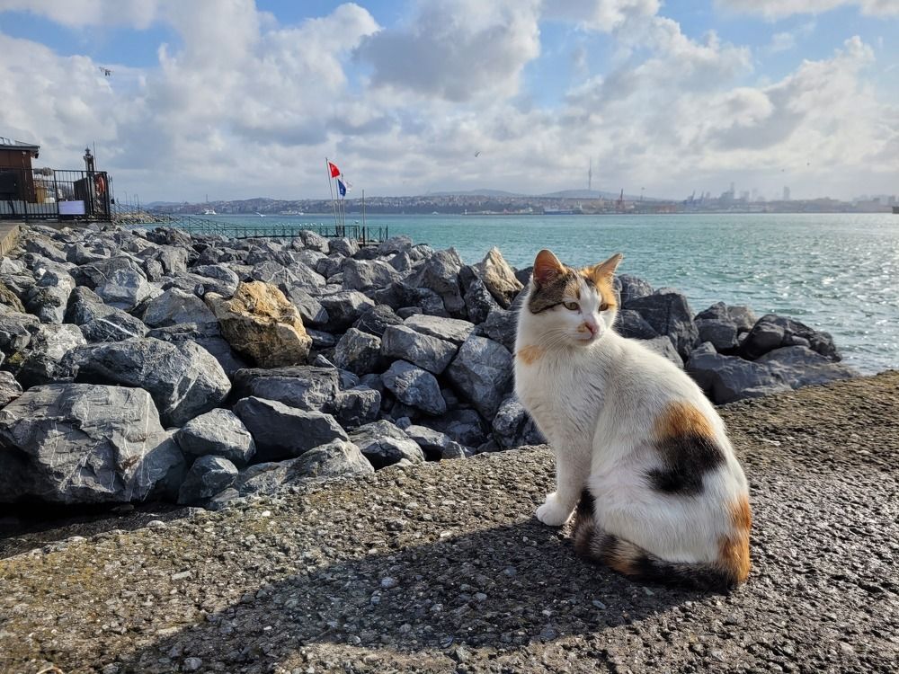 Photograph by Валерия