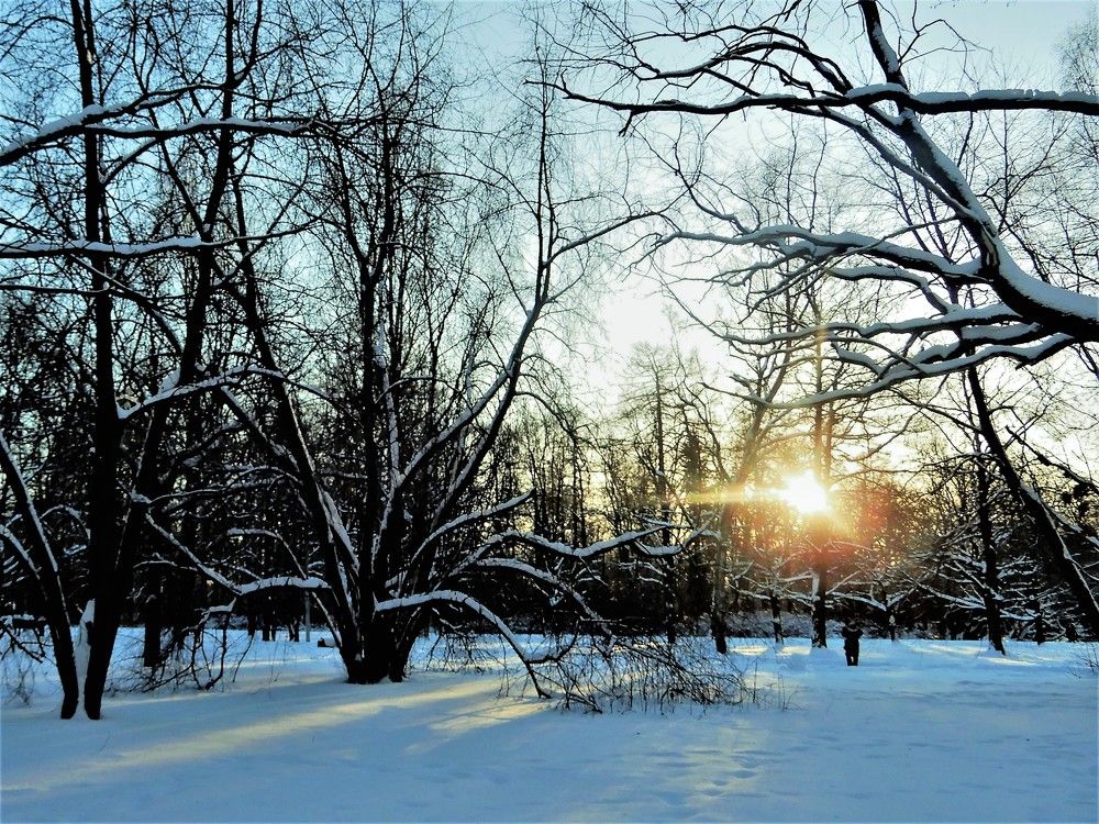 Photograph by Татьяна Красавцева