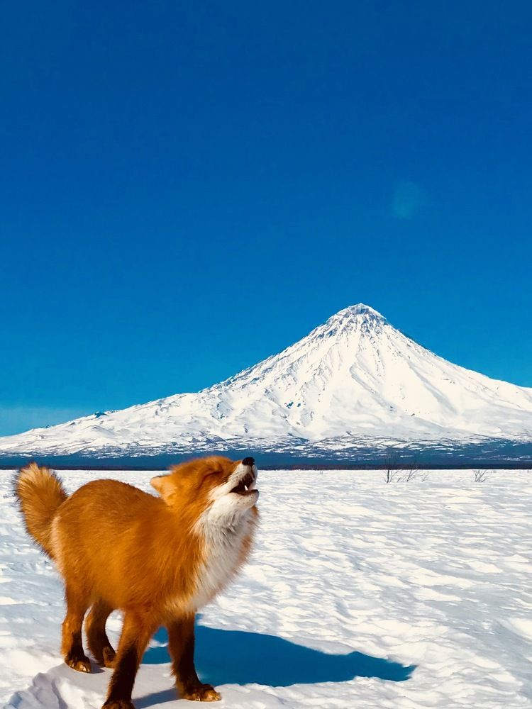 Photograph by Алексей