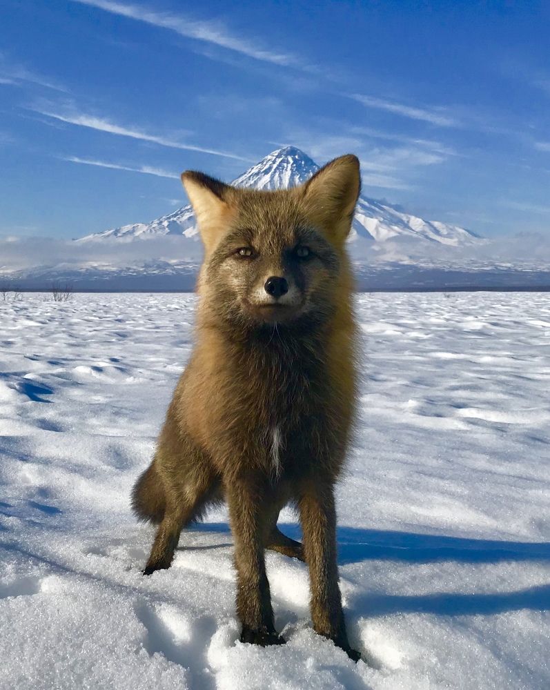 Photograph by Алексей