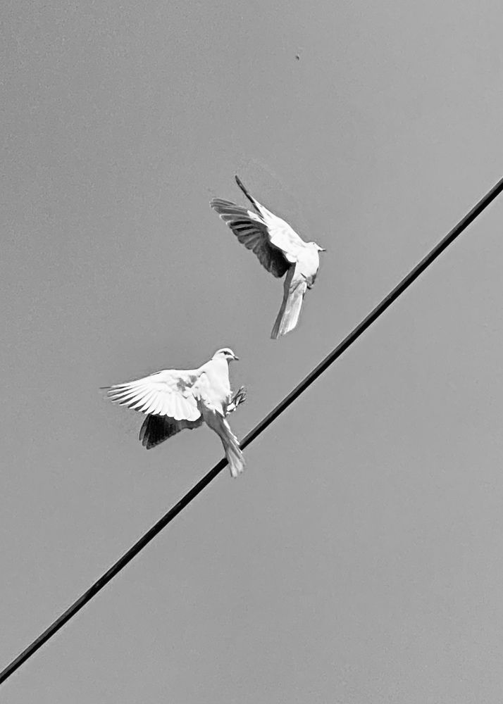 Фотография автора ГУЗАЛИЯ ГАНИЕВА