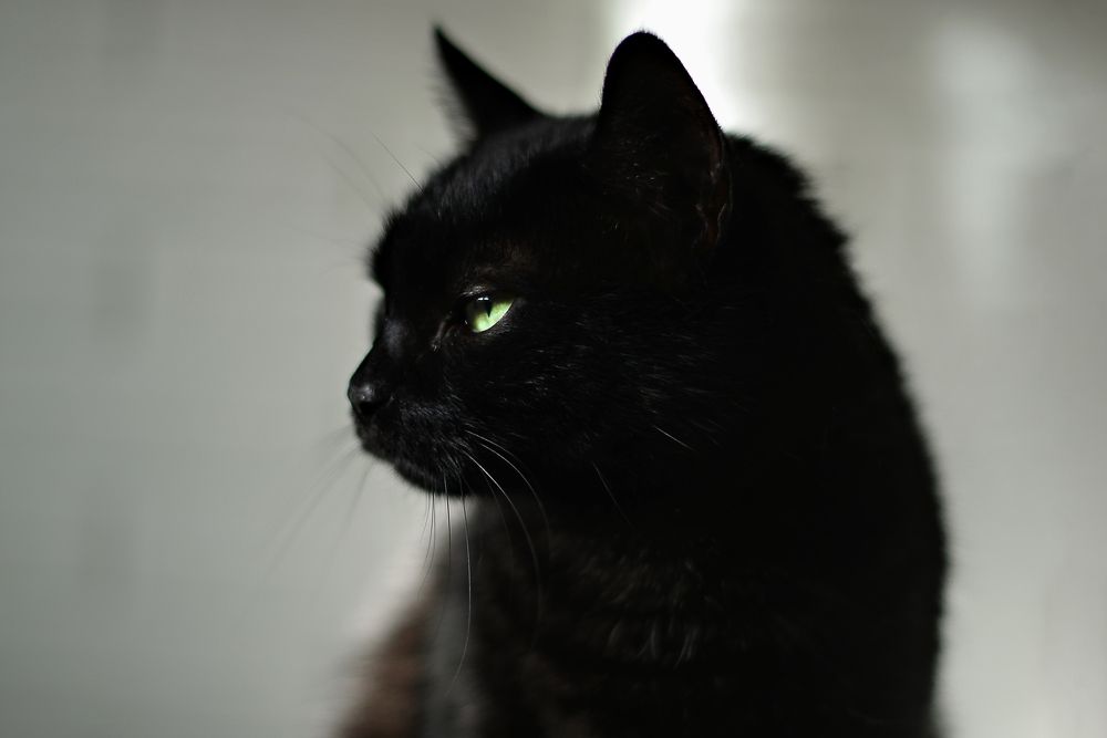 Photograph by Светлана Белова