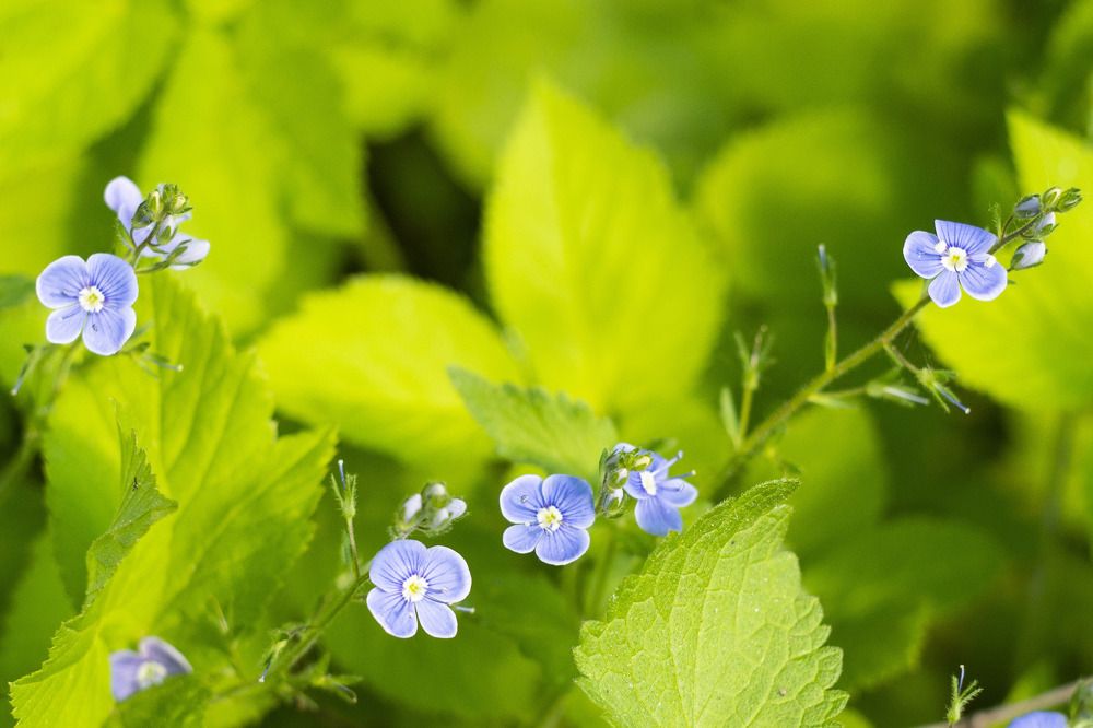 Photograph by Роман Шаров