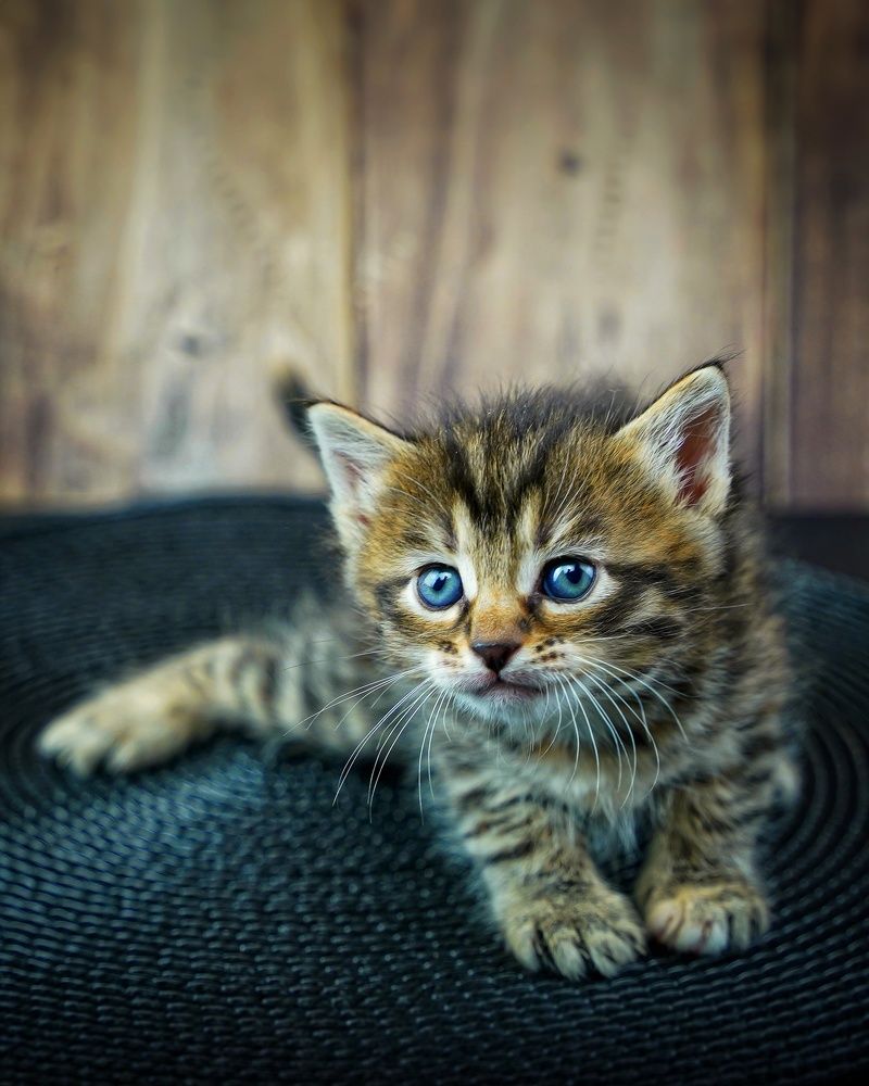 Photograph by дмитрий игнатов