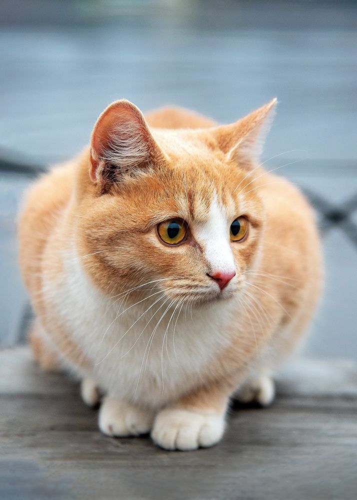 Photograph by Белевитин Михаил