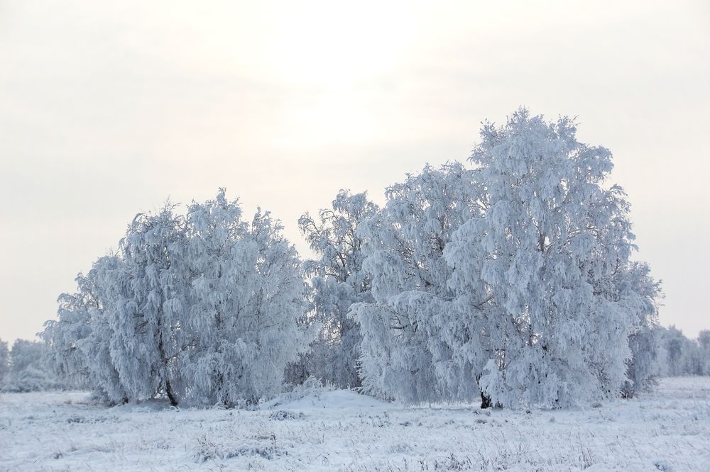 Photograph by Сергей Морозов