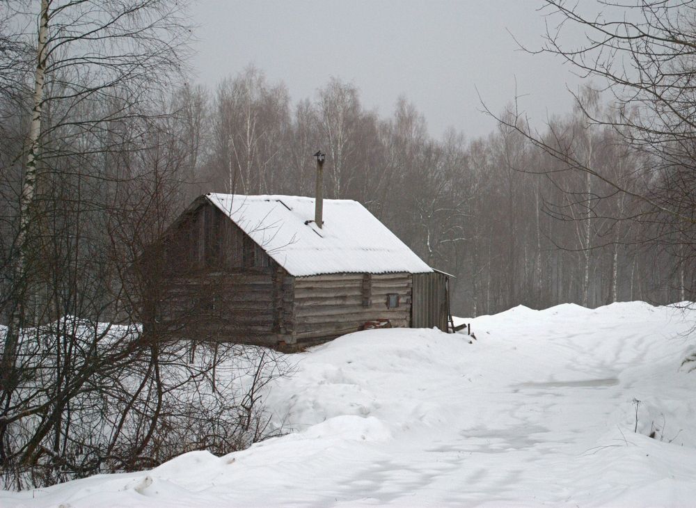Photograph by Венера Раджабовна
