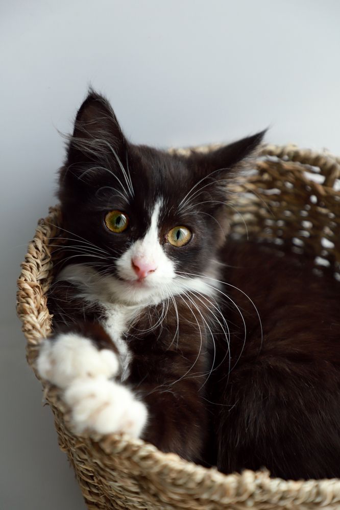 Photograph by Елена Сиднина