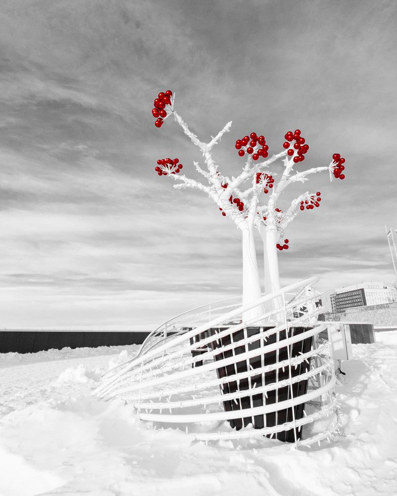 Фотография автора романов олег