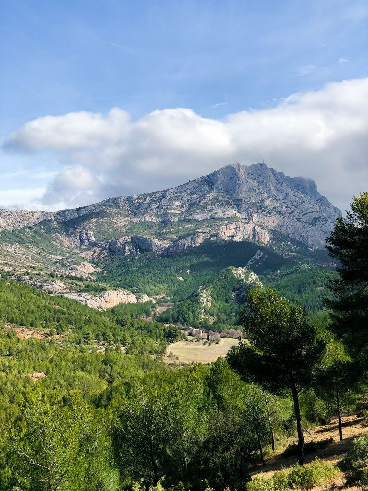 Photograph by Zinaida Sassarini