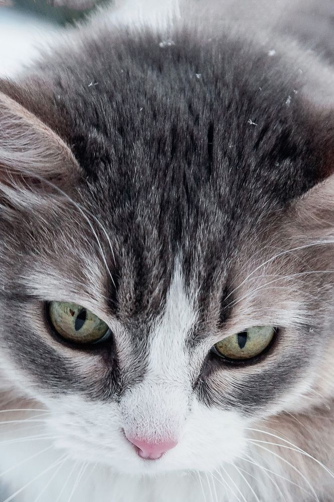 Фотография автора Альбина Кадочникова