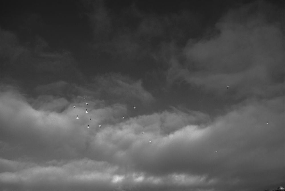 Photograph by Венера Раджабовна