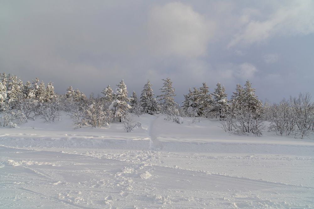 Photograph by Александр Ворошилов