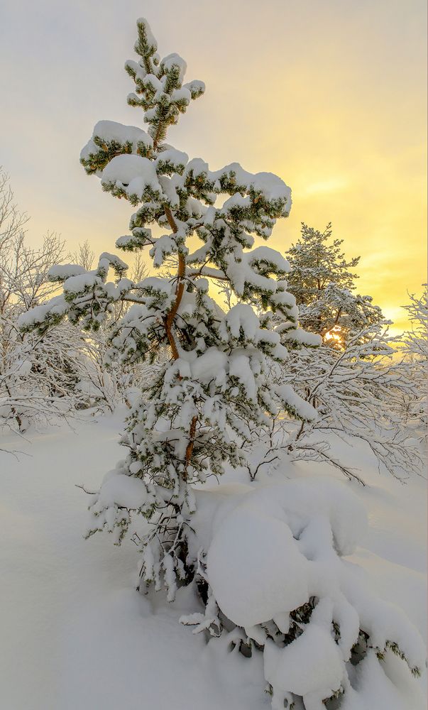 Photograph by Александр Ворошилов