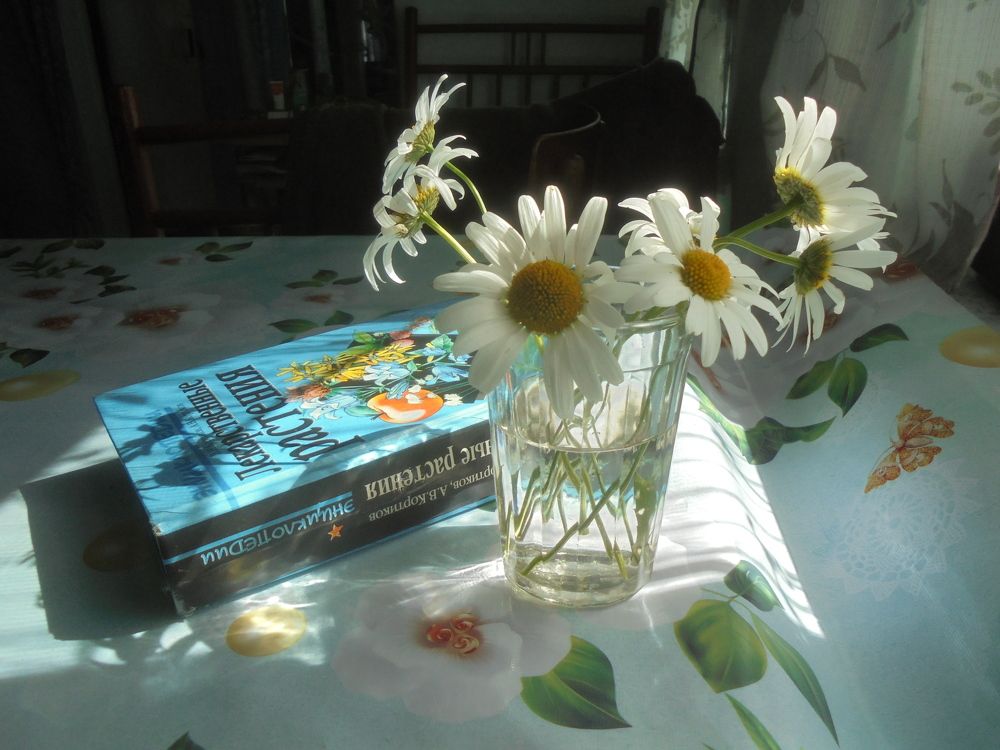 Кусочек утра.