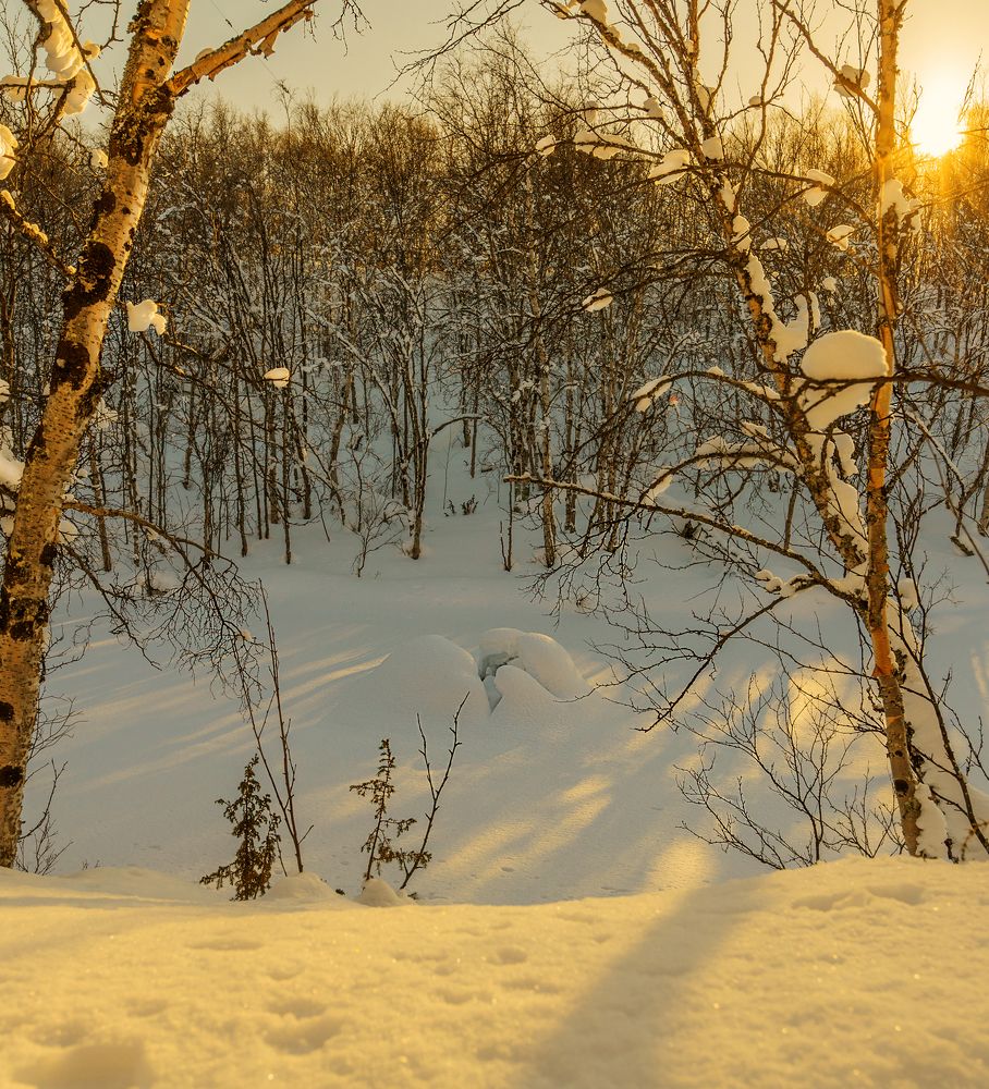 Photograph by Александр Ворошилов