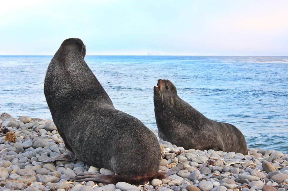 Поругались