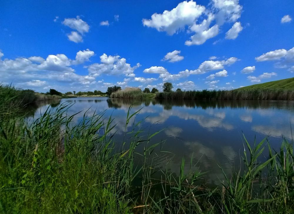 Photograph by Виктория