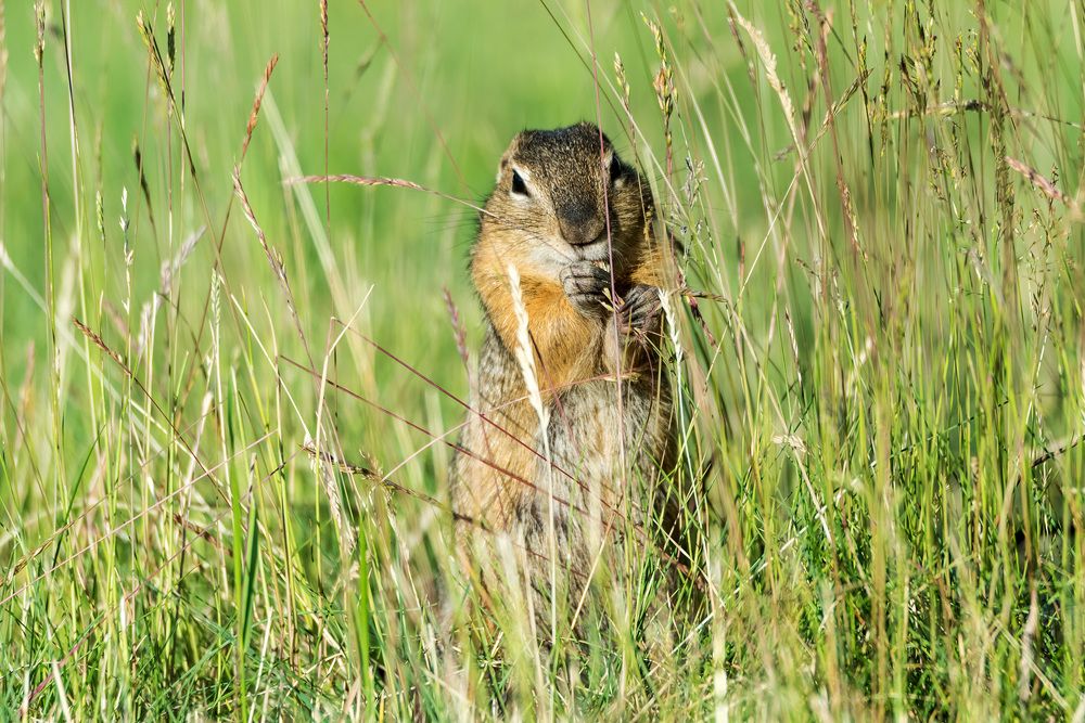 Photograph by Игорь Боголюбов