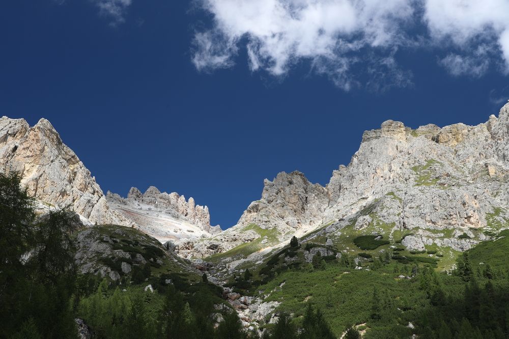 Photograph by Popa Alin