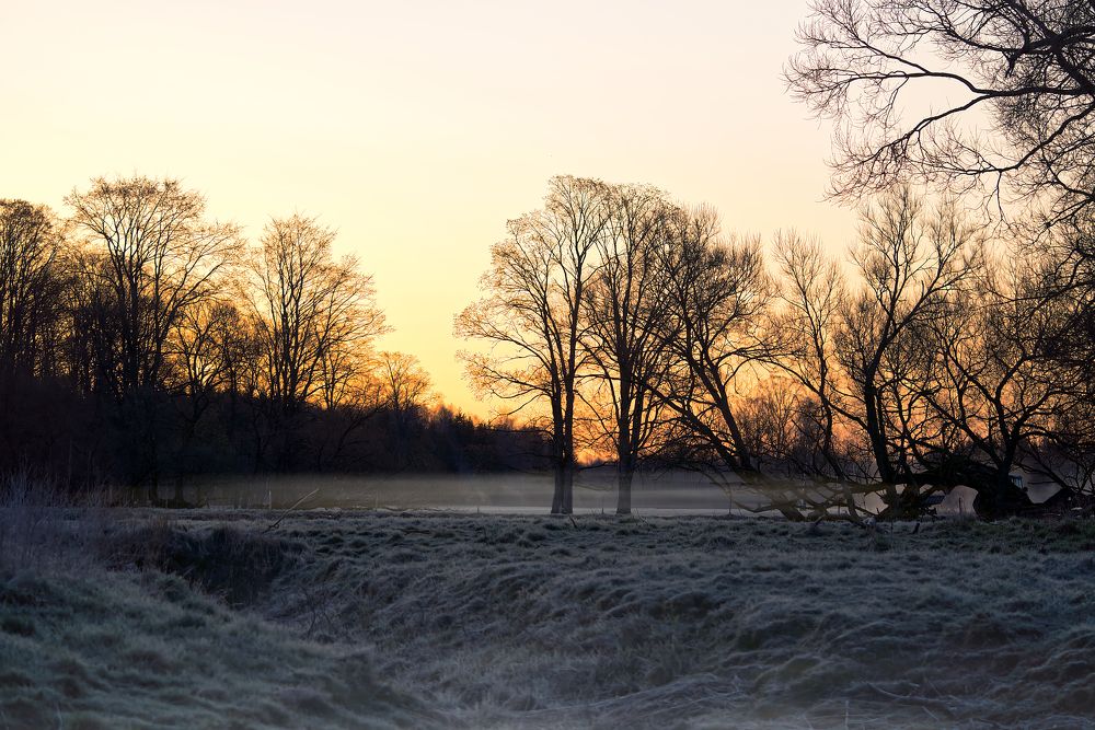 Photograph by Ilja Enger-Tsizikov