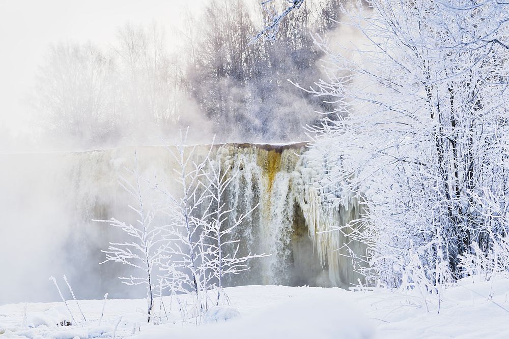 Photograph by Ilja Enger-Tsizikov