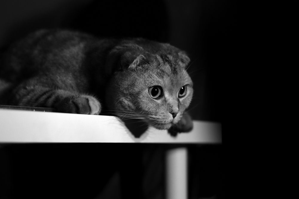 Photograph by Евгения Цыганова