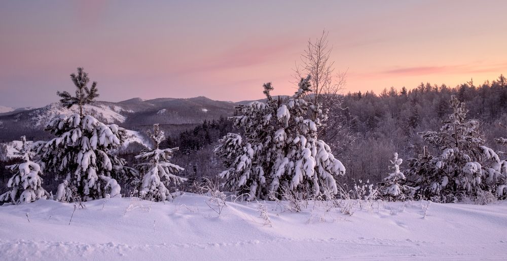 Photograph by Владимир Жерновенков