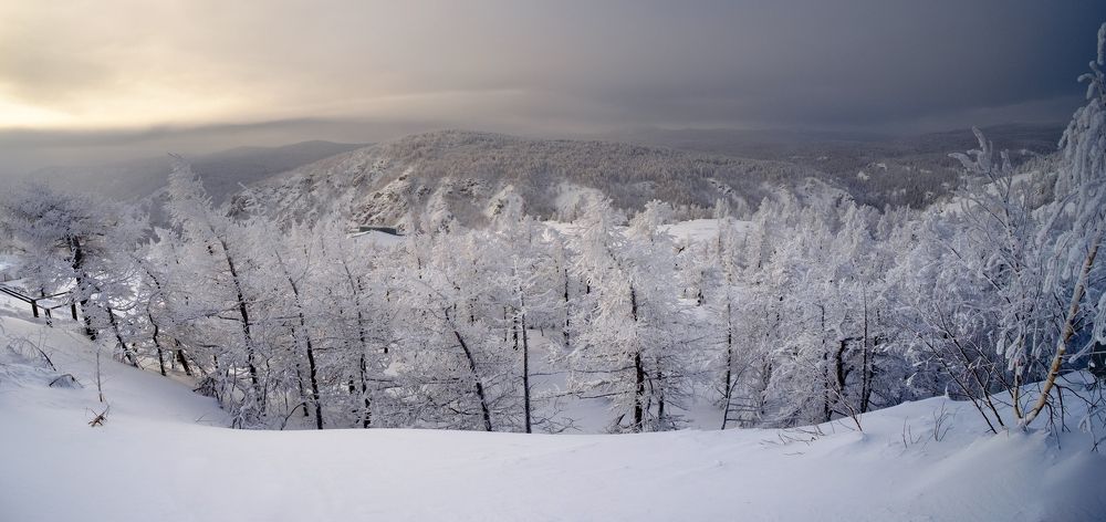 Photograph by Владимир Жерновенков