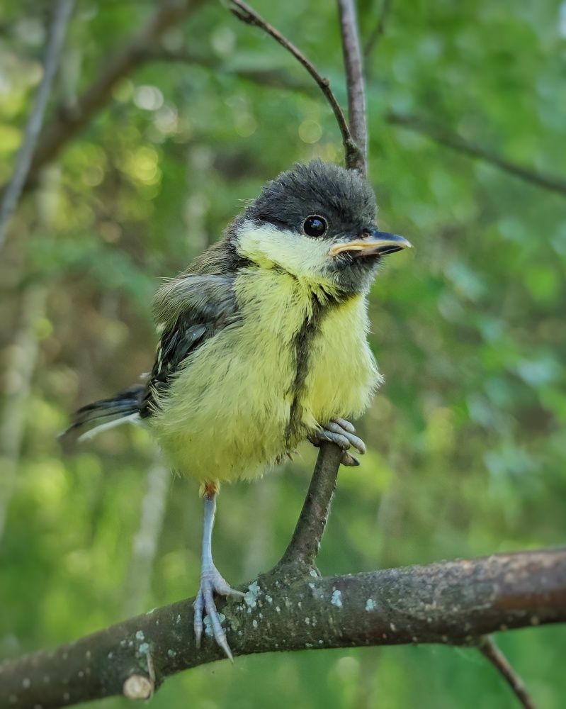 Photograph by Петр Поспелов