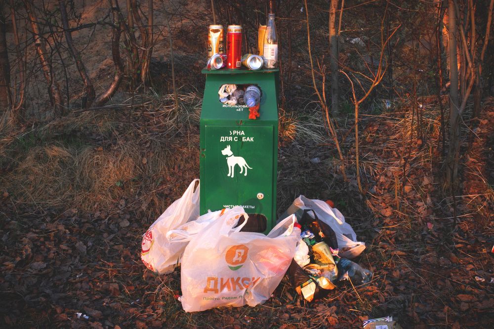 Photograph by Виктория Браун