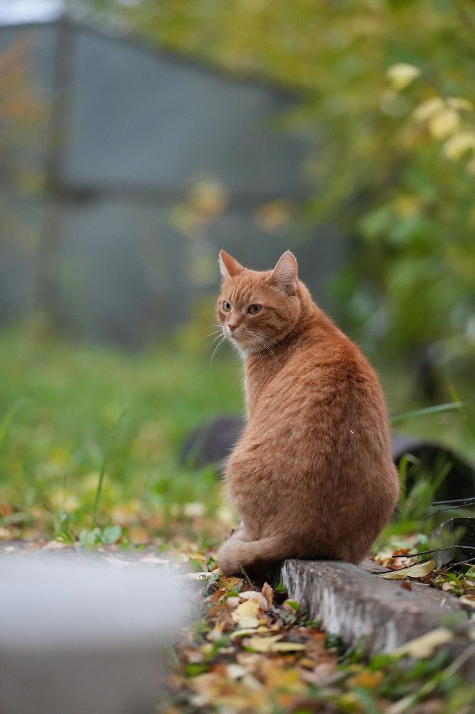 Photograph by Олеся Владимирова