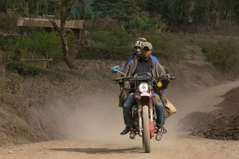 Photograph by Vera van der Wal