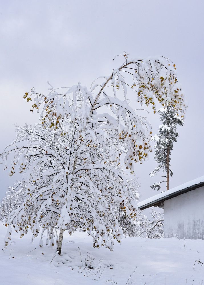 Photograph by Александра Иванова