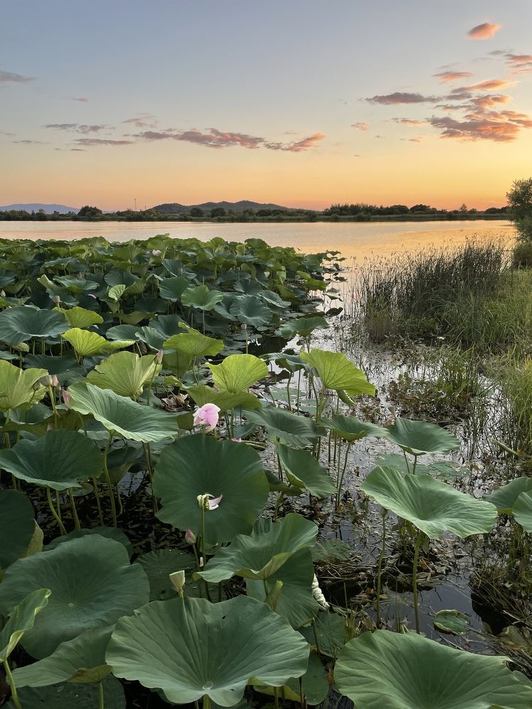 Photograph by Александр М