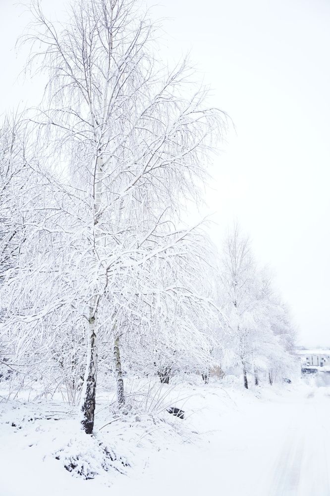 Photograph by Александра Норвилас