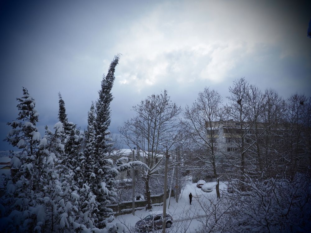 Photograph by Сергей Борисов