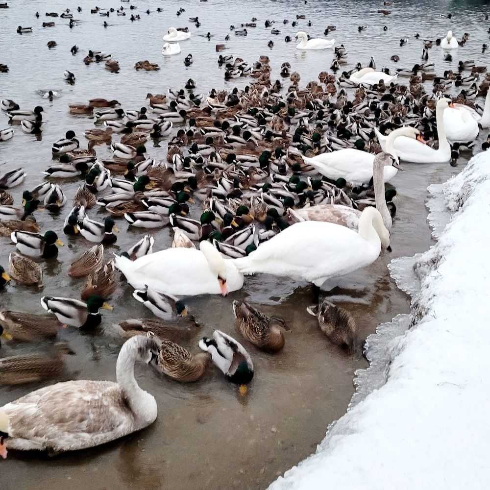Фотография автора Александра Карпикова