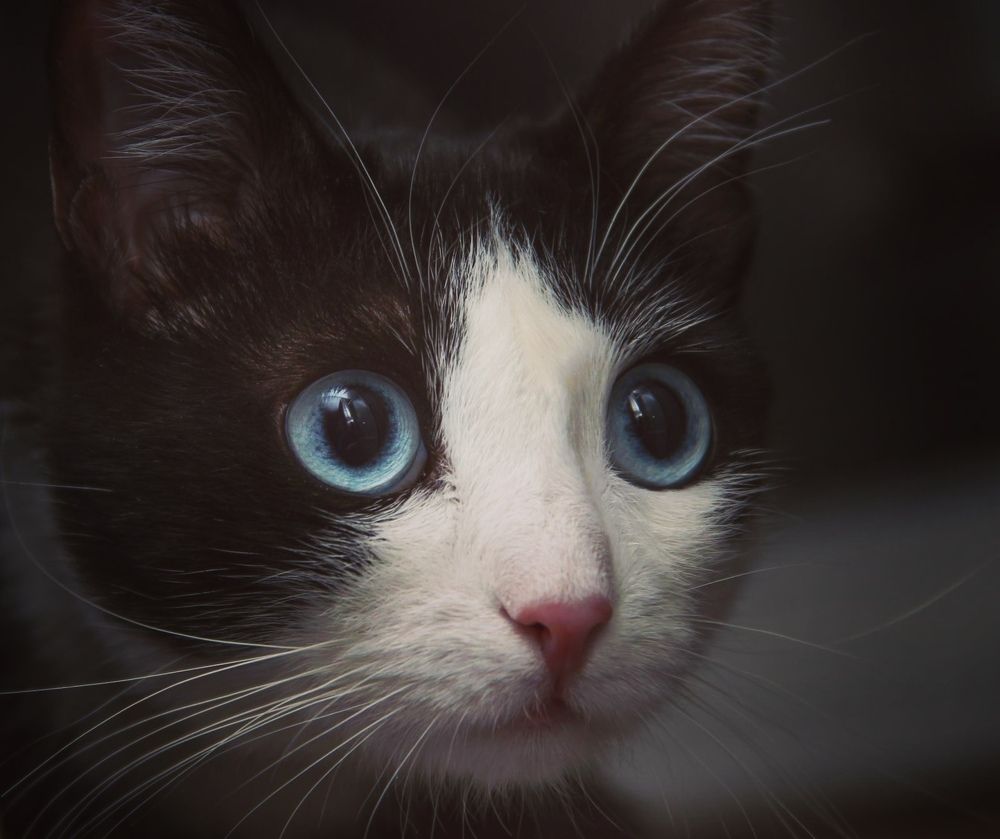 Photograph by Алина