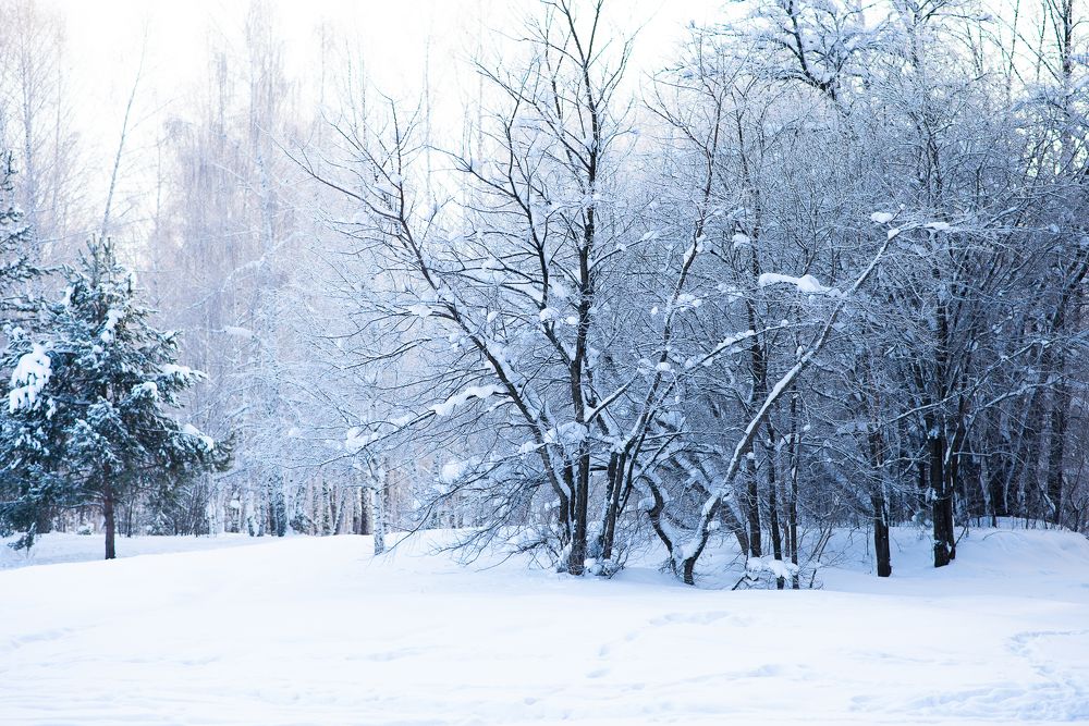 Photograph by Анастасия Широкова