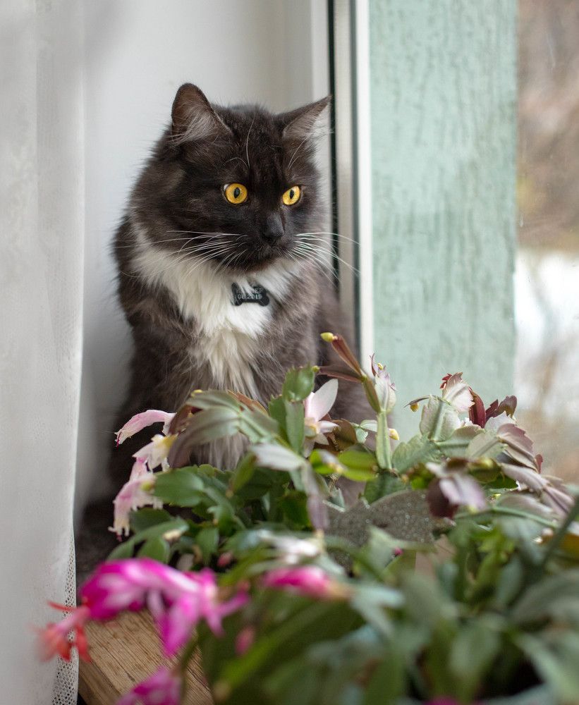 Photograph by Наталья Брюхненко