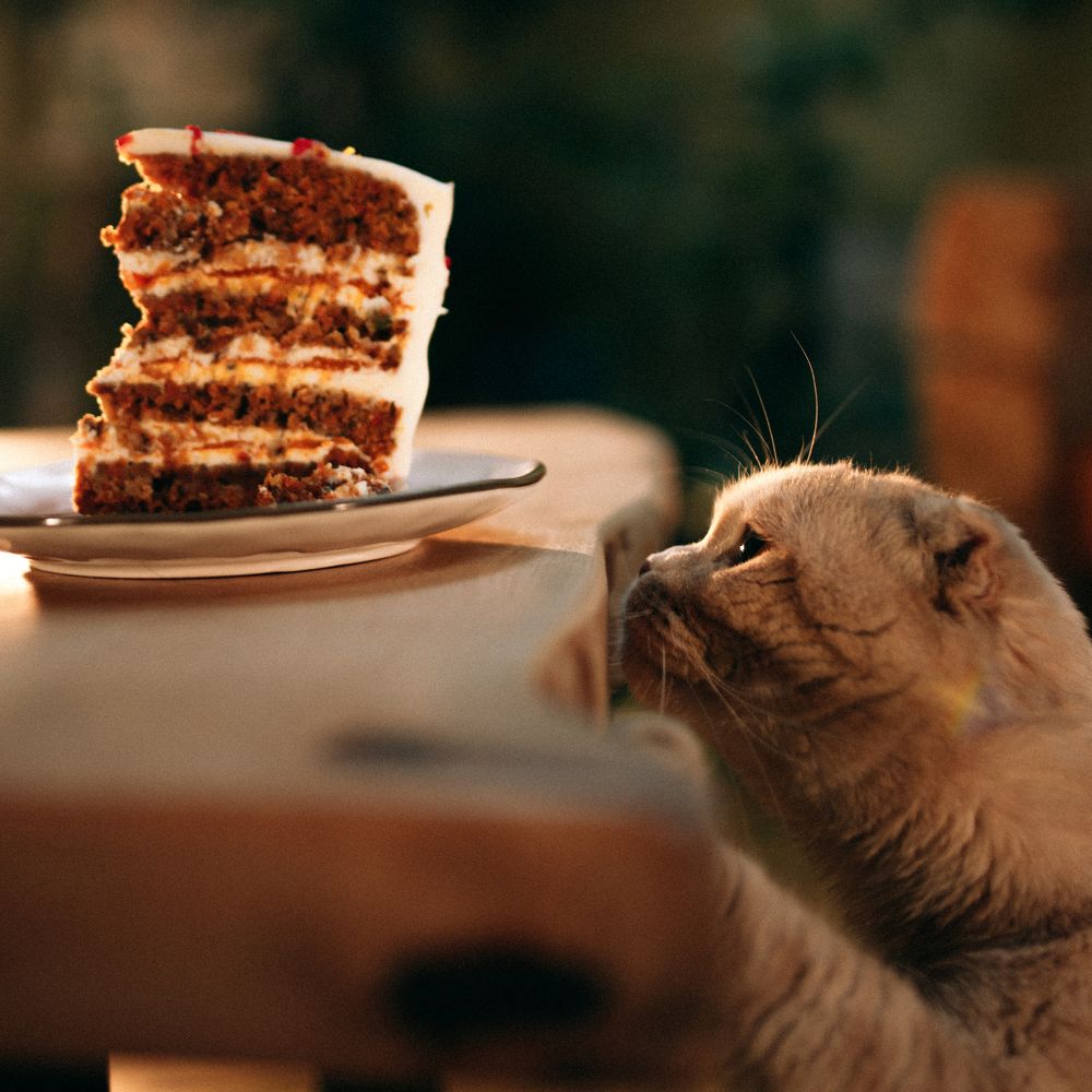 Photograph by Алена Нестерова